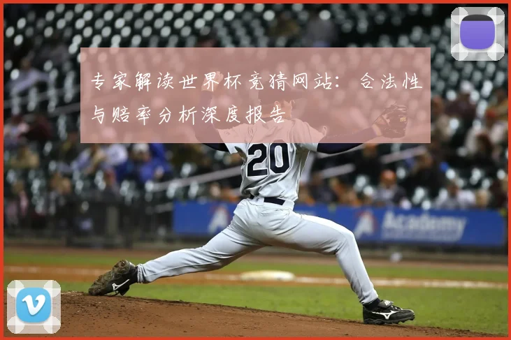 专家解读世界杯竞猜网站：合法性与赔率分析深度报告