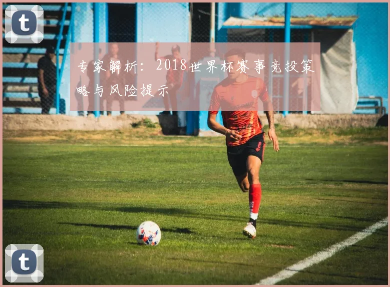 专家解析：2018世界杯赛事竞投策略与风险提示