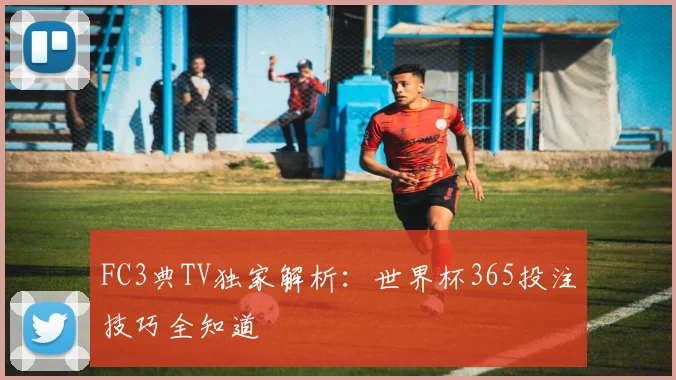 FC3典TV独家解析:世界杯365投注技巧全知道