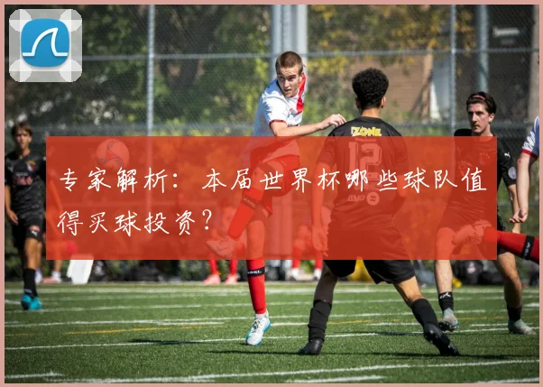 专家解析：本届世界杯哪些球队值得买球投资？