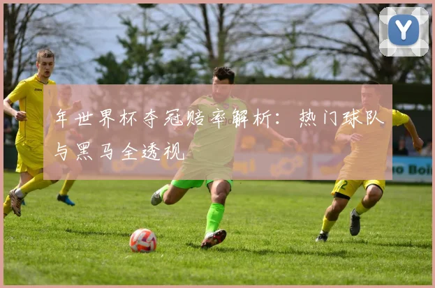 年世界杯夺冠赔率解析：热门球队与黑马全透视