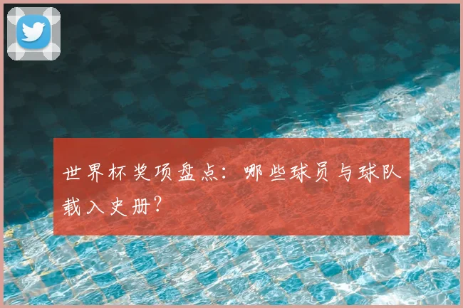世界杯奖项盘点：哪些球员与球队载入史册？