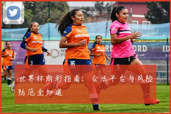 世界杯购彩指南：合法平台与风险防范全知道